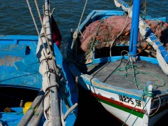 Principe de pertinence