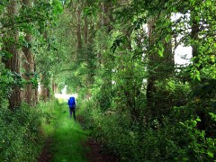 Comment il a réussi à soigner sa logorrhée