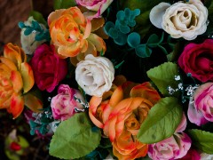 <i>Excessivement</i> coloré ?